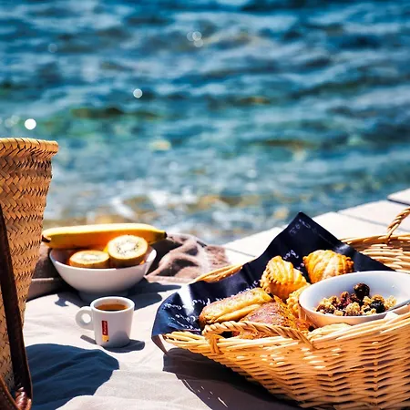 Les Palmiers فندق